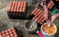 Chủ tịch Hội Chăn nuôi Việt Nam: Làm giả trứng gà giống trứng thật là điều không thể