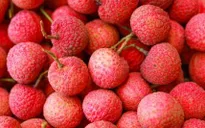 Mở rộng kết nối tiêu thụ vải thiều