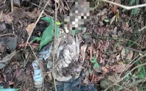 Lâm Đồng: Phát hiện một bộ hài cốt người dưới vực sâu đèo Bảo Lộc