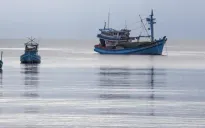 Phạt 5 chủ tàu vi phạm giám sát hành trình khai thác thủy sản