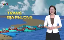 Trang địa phương: Số 21