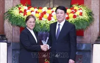 Chủ tịch nước Lương Cường tiếp Phó Chủ tịch nước Lào