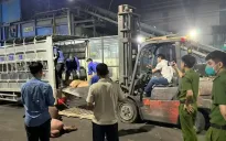 Phát hiện hơn 1 tấn thịt lợn đã bốc mùi chuẩn bị tuồn ra thị trường