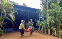 Thời tiết đêm 26 và ngày 27/5: Cảnh báo mưa dông, lốc, sét, mưa đá ở nhiều khu vực