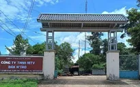 Nhiều cán bộ kiểm lâm, bảo vệ rừng bị hành hung, 1 phó giám đốc gãy xương sườn
