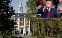 Căng thẳng Trump - Harvard “phủ bóng đen” lên các trường đại học Mỹ