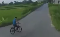 Tránh người đi xe đạp sang đường, xe tải lao xuống ruộng