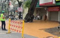 Bùn đất phun trào trên phố Cát Linh (Hà Nội)