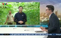 Buổi sáng thức giấc - 28/5/2025