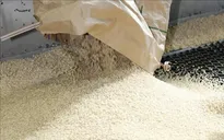 Nhật Bản hỗ trợ khu vực nông thôn ứng phó giá gạo leo thang