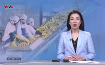 Bản tin tiếng Trung - 29/5/2025