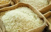 Giá gạo Ấn Độ chạm đáy