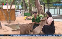 Buổi sáng thức giấc - 01/6/2025