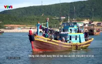 Nhịp đập Việt Nam: Mùa câu mực ở Ba Đồng