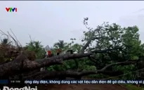 Việt Nam hôm nay - 02/6/2025