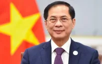 Làm sâu sắc và thực chất hơn nữa quan hệ Đối tác chiến lược Việt Nam - Đức