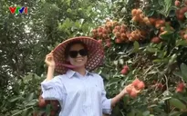 Nhà vườn vào mùa du lịch