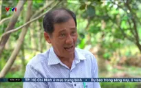 Buổi sáng thức giấc - 03/6/2025