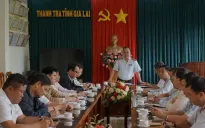 Thanh tra toàn diện Công ty TNHH Một thành viên cà phê Gia Lai