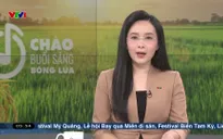 Chào buổi sáng - 04/6/2025