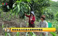 Bản tin tiếng Trung - 04/6/2025