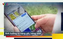 Đường tới nông trại: OCOP và bài toán thương mại điện tử