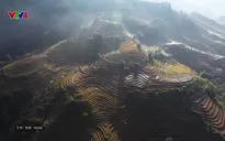 Nhịp đập Việt Nam: Người MNông ở Đắk RTih