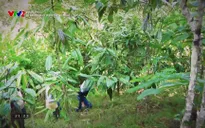 Khám phá: Bí ẩn địa mạo miền Tây xứ Nghệ - Tập 4