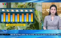 Bản tin thời tiết 5h30 - 08/6/2025