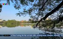 Chào buổi sáng - 08/6/2025