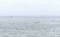 Rơi máy bay ngoài khơi bờ biển San Diego, 6 người thiệt mạng