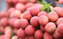 Thị trường nội địa "tiếp sức" cho nông sản Việt