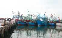 Các địa phương sẵn sàng lực lượng, phương tiện ứng phó với bão số 1