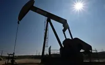 OPEC dự kiến nhu cầu dầu vượt 120 triệu thùng/ngày vào năm 2050