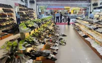 Bắt "Tùng Moscow" cầm đầu đường dây buôn lậu giày dép, túi xách ở Thanh Hóa