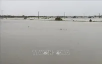 Bão số 1: Bộ Xây dựng chỉ đạo khẩn bảo đảm an toàn cho người và phương tiện giao thông