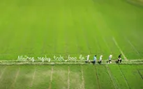 "Gia đình Haha" khoe thành tích mở màn, khán giả hào hứng đi "chữa lành" cùng các ngôi sao