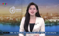 Các hộ, cá nhân kinh doanh sẽ chưa bị xử phạt trong giai đoạn đầu triển khai hóa đơn điện tử 