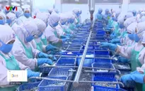 Giảm giờ làm: Cơ hội nâng cao đời sống người lao động hay thách thức với doanh nghiệp?