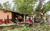 Bão Erick di chuyển khỏi bờ biển Mexico, ít nhất 2 người tử vong