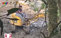 Nhộn nhịp máy móc thi công tại khu sinh thái Vườn Quốc gia Ba Vì