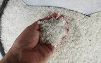 Giá gạo tại Nhật giảm sâu, chạm mức thấp nhất trong 3 tháng