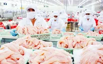 7 doanh nghiệp cá tra Việt được miễn thuế chống bán phá giá tại Mỹ