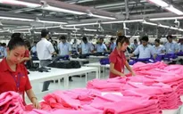 Doanh nghiệp chủ động kịch bản rủi ro xuất khẩu