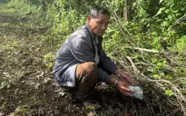 Phát hiện vợ chồng hờ mua bán ma túy, nuôi 10 con chó xung quanh nhà để cảnh giới
