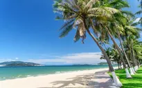 Nha Trang trở thành điểm đến mùa hè hàng đầu của du khách Hàn Quốc