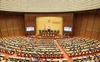 Nghị quyết chỉ định Trưởng Đoàn, Phó Trưởng Đoàn đại biểu Quốc hội