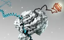 Vaccine công nghệ mRNA: Đột phá y học hay con dao hai lưỡi?