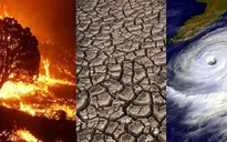 Khủng hoảng khí hậu đe dọa quyền con người