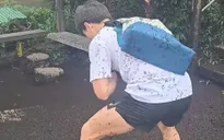 Hàn Quốc ngập tràn bọ tình yêu do nhiệt độ tăng cao